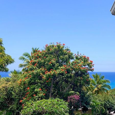 A Little Aloha Apartment Kailua-Kona Ngoại thất bức ảnh